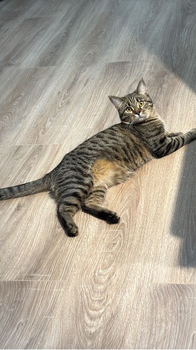 СРОЧНО! Ищем нового хозяина