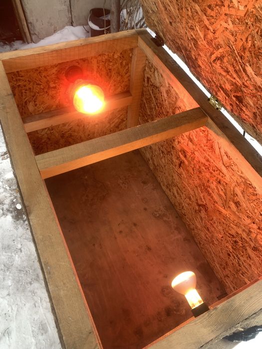 Продается брудер для цыплят