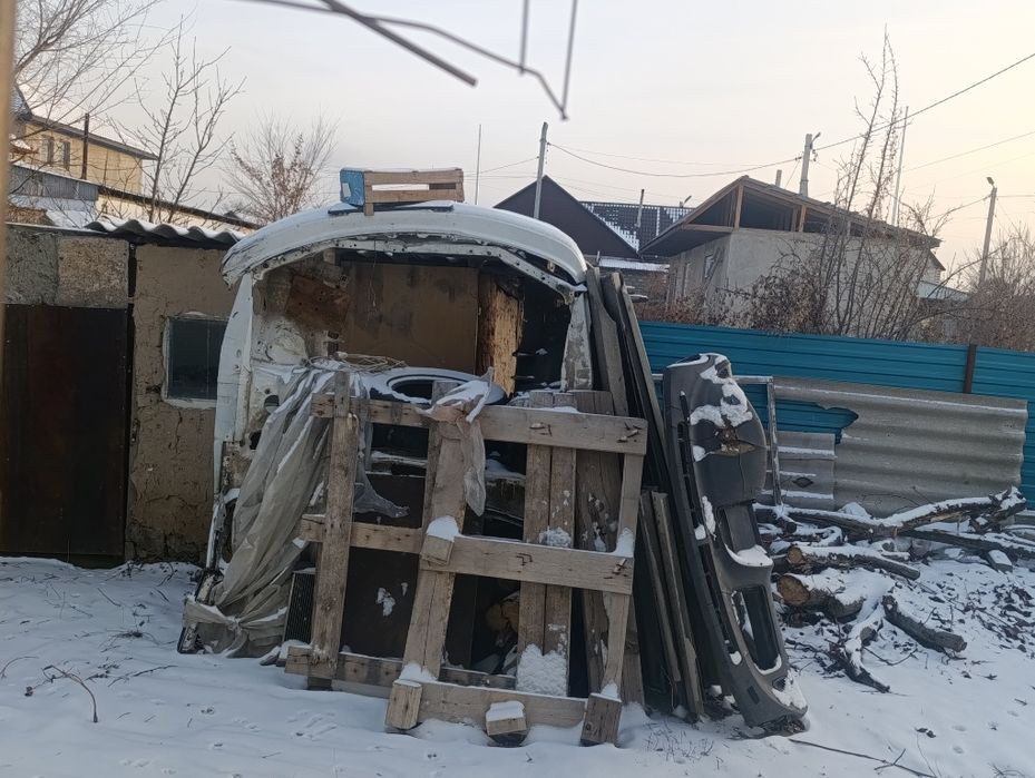 Морда максима Цефиро а32