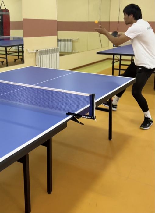 Stol tennisi, ping pong