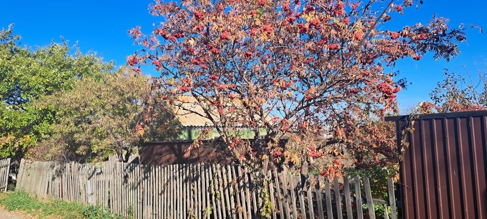 Продам дачный участок