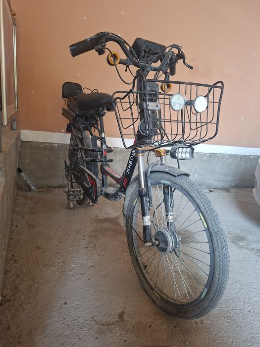 Elektoskuter 100$