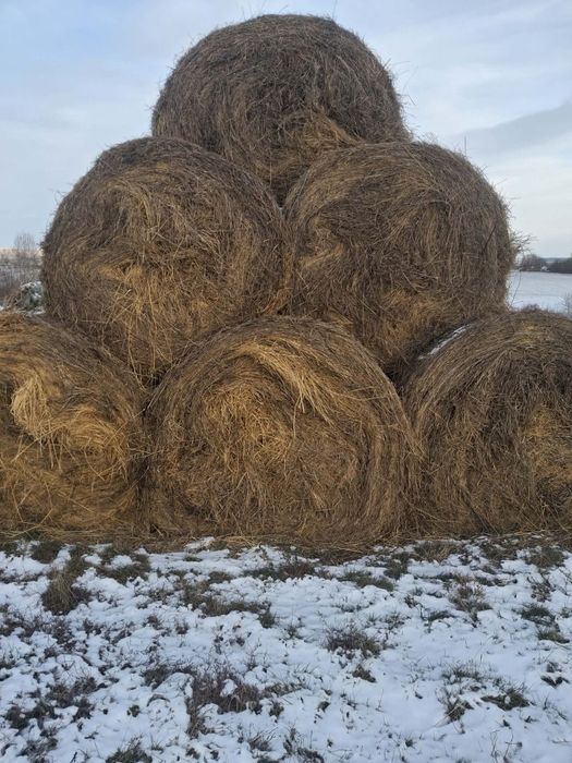Vând baloti de fân