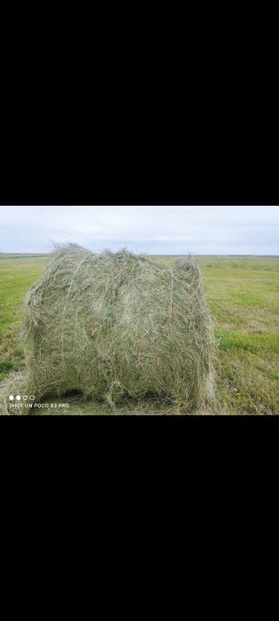 Продам сено с доставкой