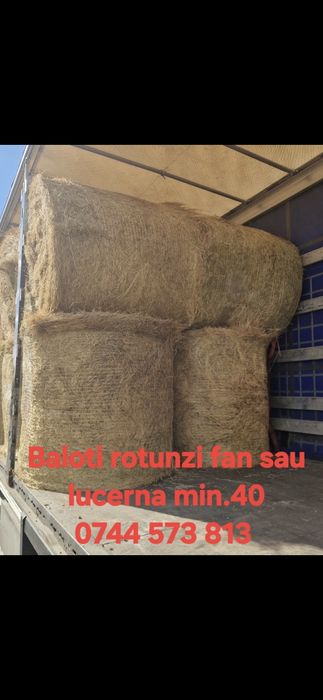 Baloti fan sau Lucerna Livram RO UE  la TIR rotunzi 1,2m x1,2 m cate min 40.dreptunghiulari min  500.nu dam la bucati.
