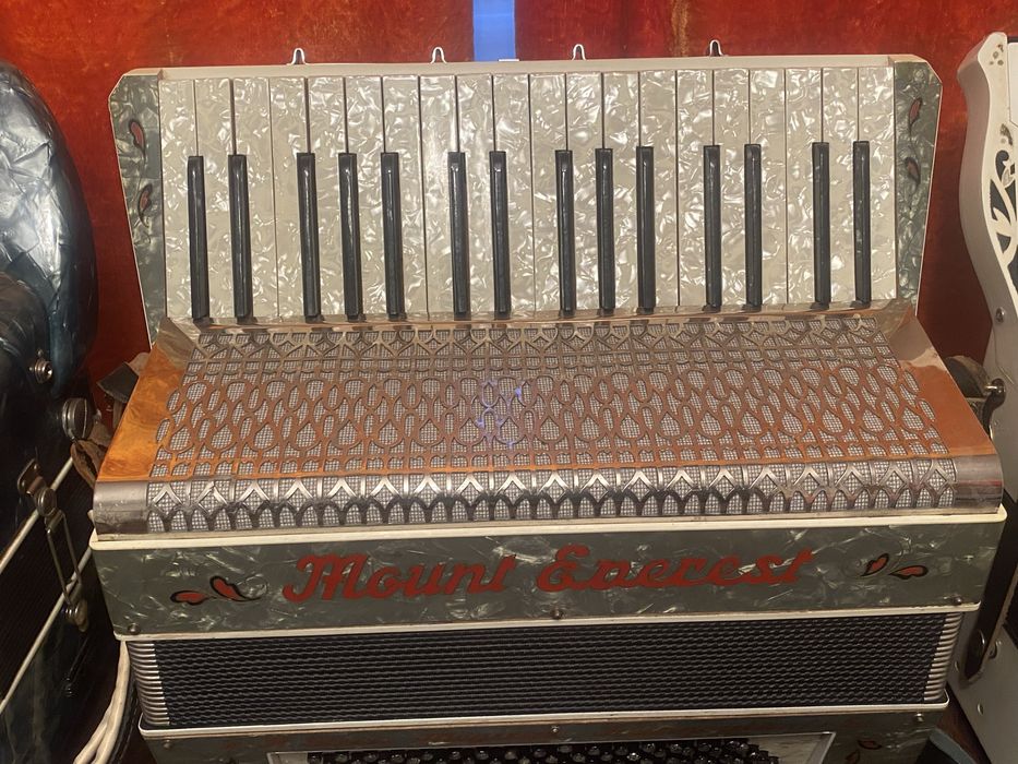 Acordeoane Hohner si armonica