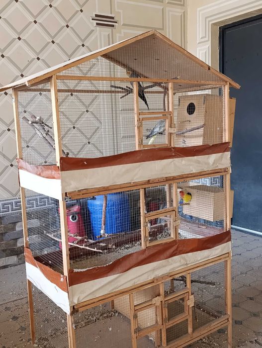 Карелла пара ва Неразлучка пара (кафаси билан)