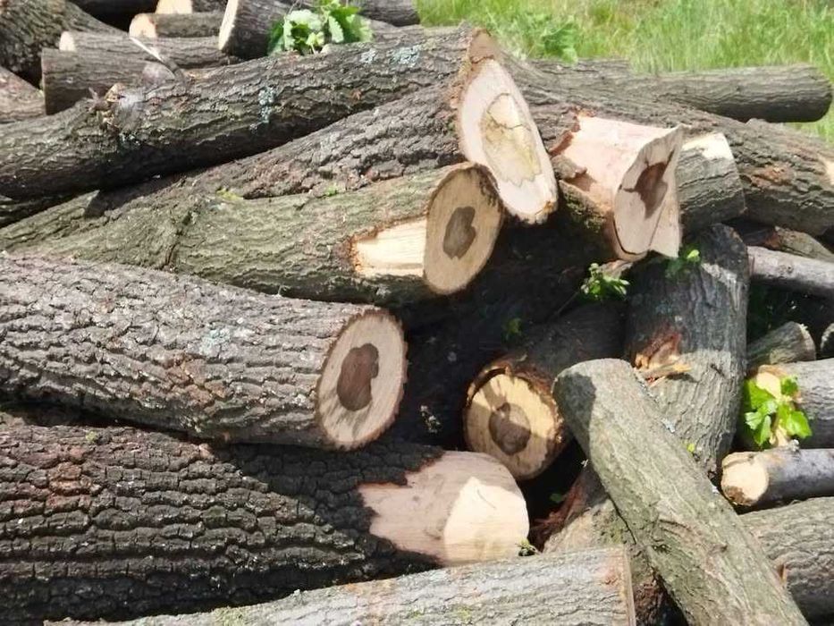 Дърва за огрев на частно лице. Цена - 35 евро