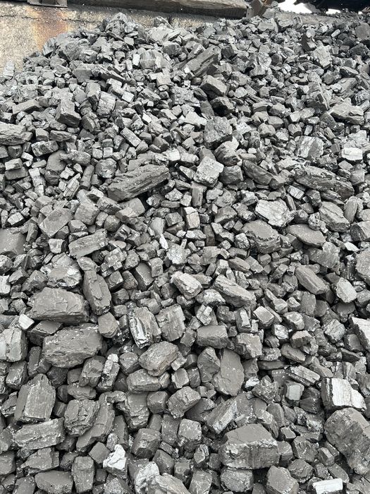 Каражара сорт 18500