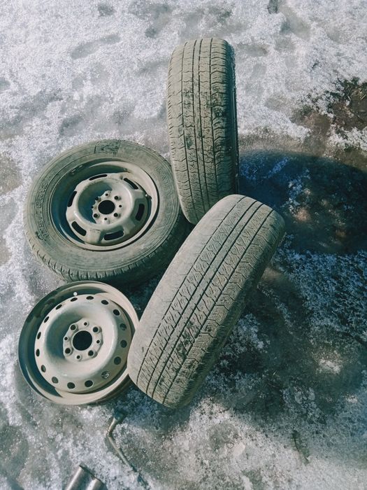 Продам дисками с ризины