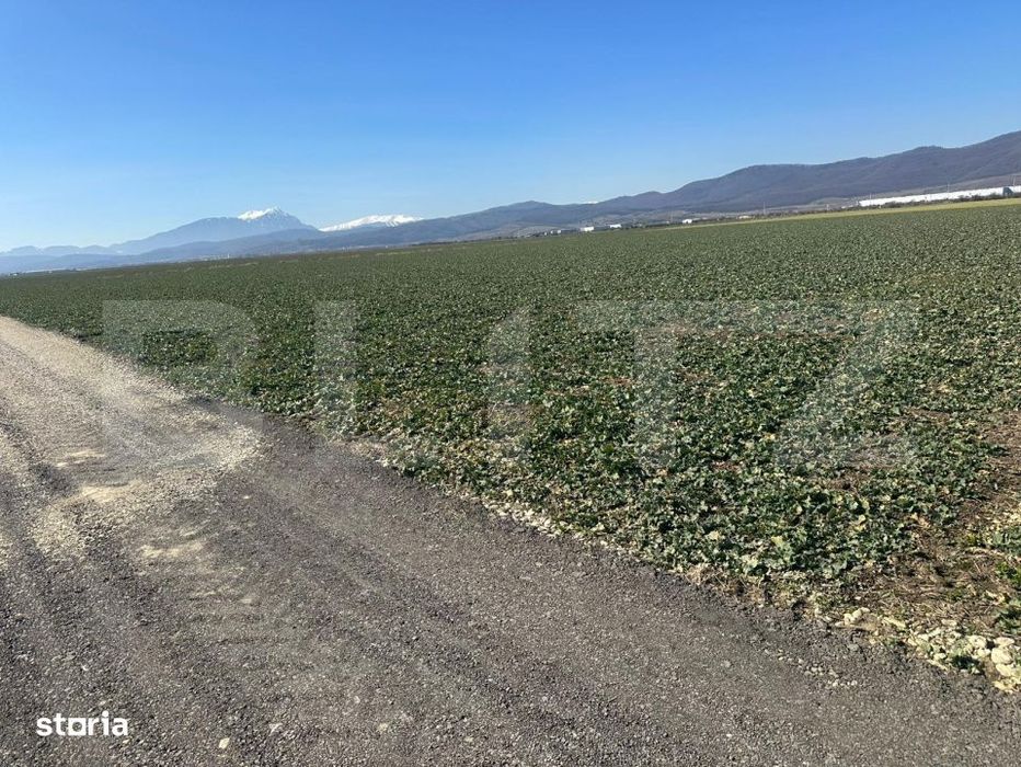 Teren de vanzare – 47.577 mp, Codlea, cu deschidere la DN1