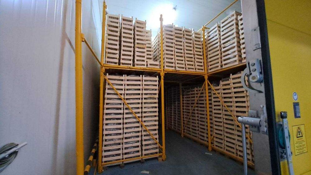 Продается База / Склад / Логистический Центр, 3 Га, Маргилан (87648)