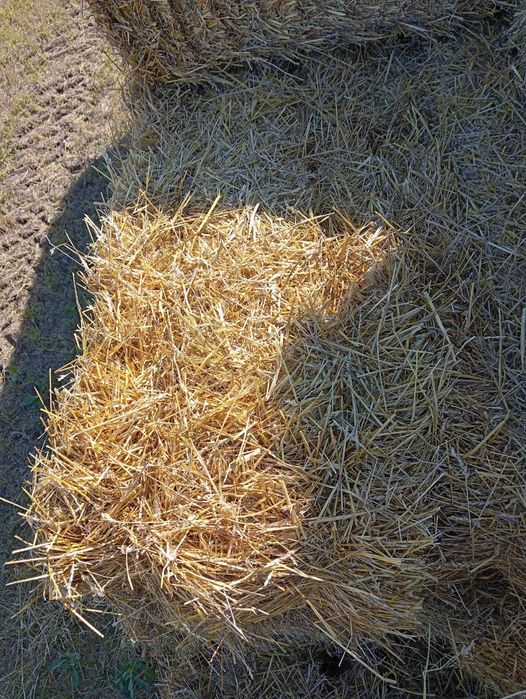 Продам Солому. Сено