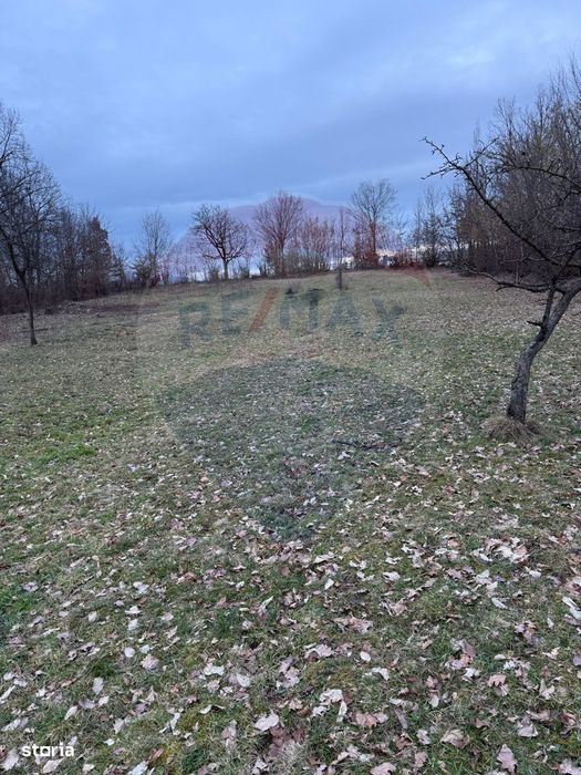 Teren intravilan cu priveliste de vanzare in Rus