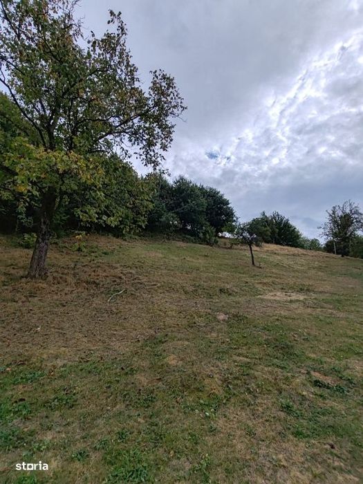 Teren 64 ari in Ulmoasa – investitie turistica, panorama spre padure