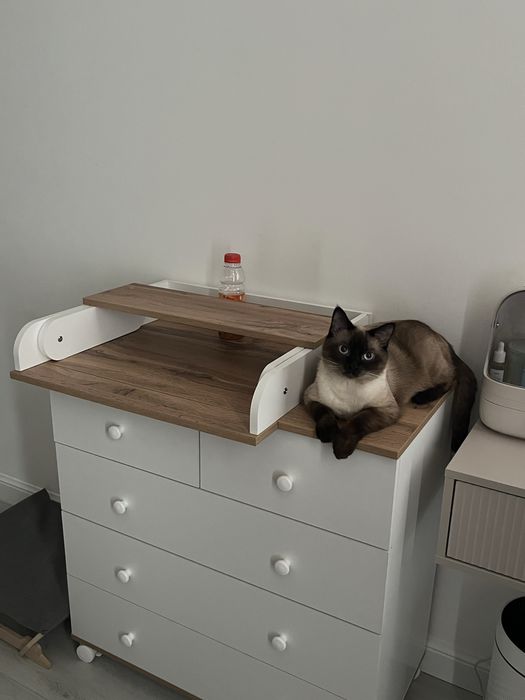 Отдам кота в добрые руки