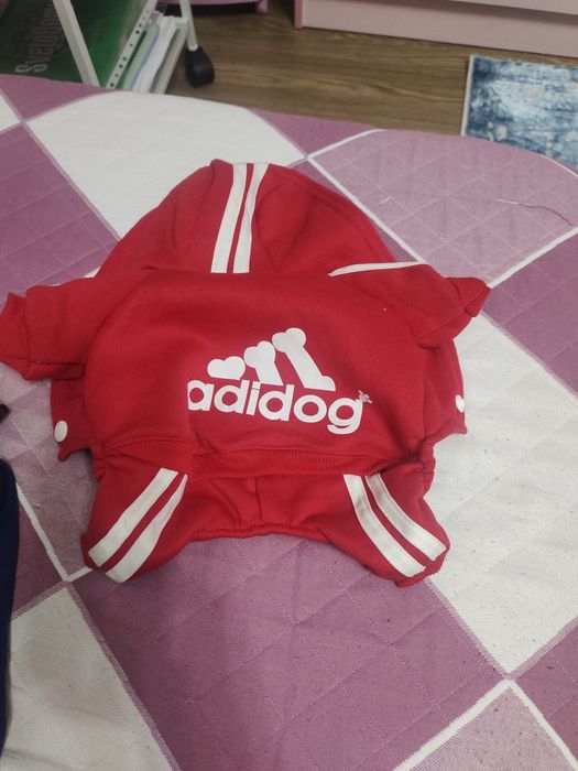 Одежда для собак или кошек