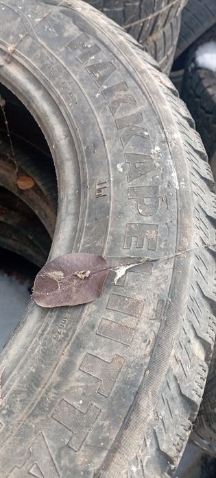 Шины шиповыных 3