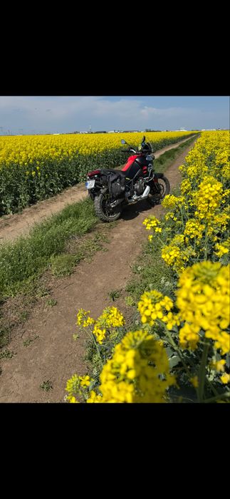 Aprilia Tuareg 660 an 2023