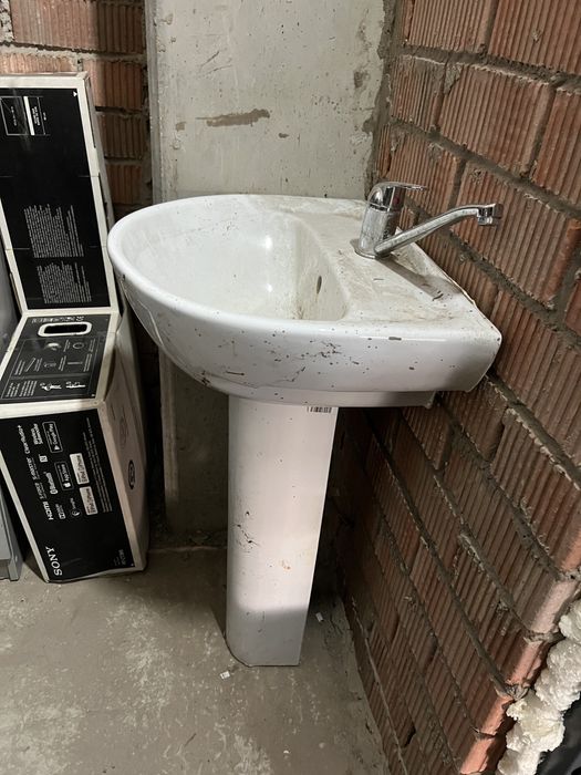 Продам тюльпан