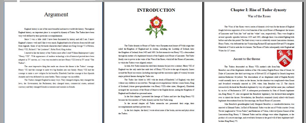 Atestat Engleza - The Tudors