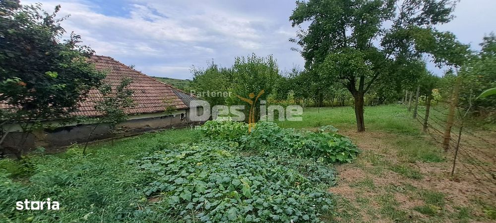 Casa + teren de 1715 mp  Cornesti