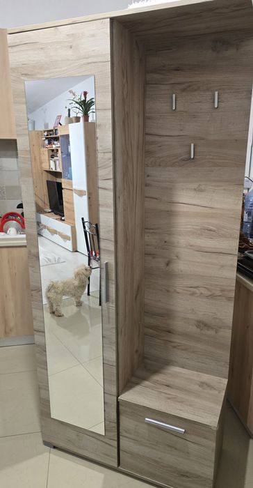 Vand dulap, cuier si pantofar