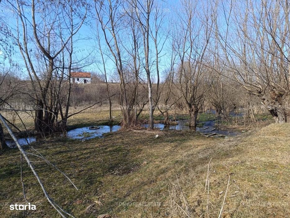 Bran Sohodol,5967mp+teren bonus,intravilan constructii P+E+M,comision0