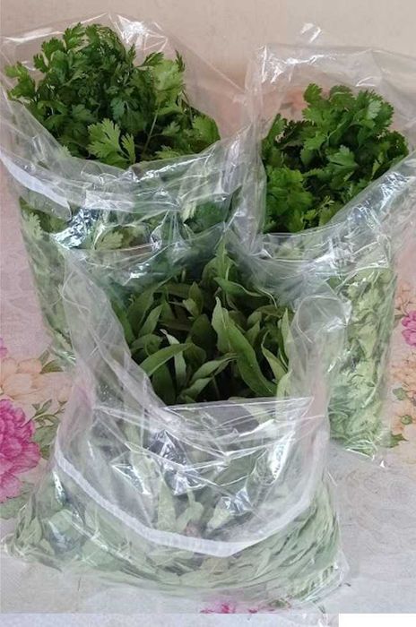 Răsaduri mentaolandeza cimbrisor salvie busuioc