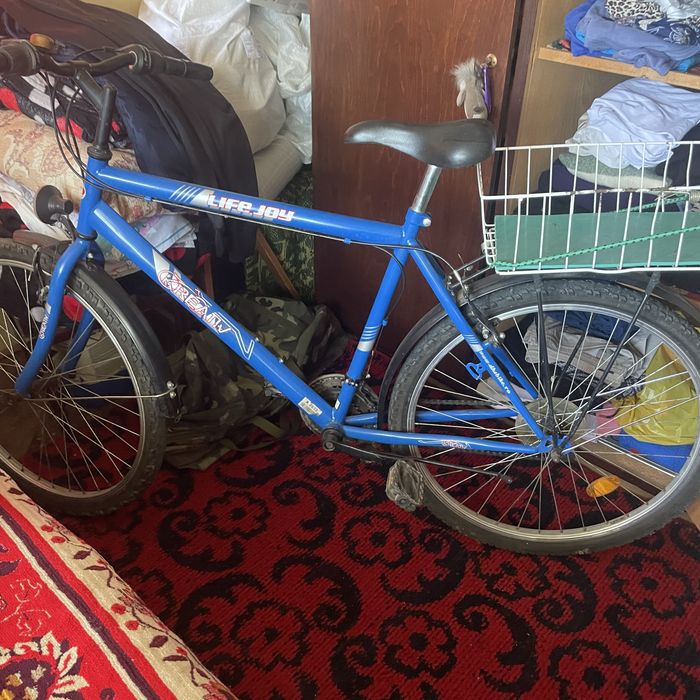 Bicicleta adulti