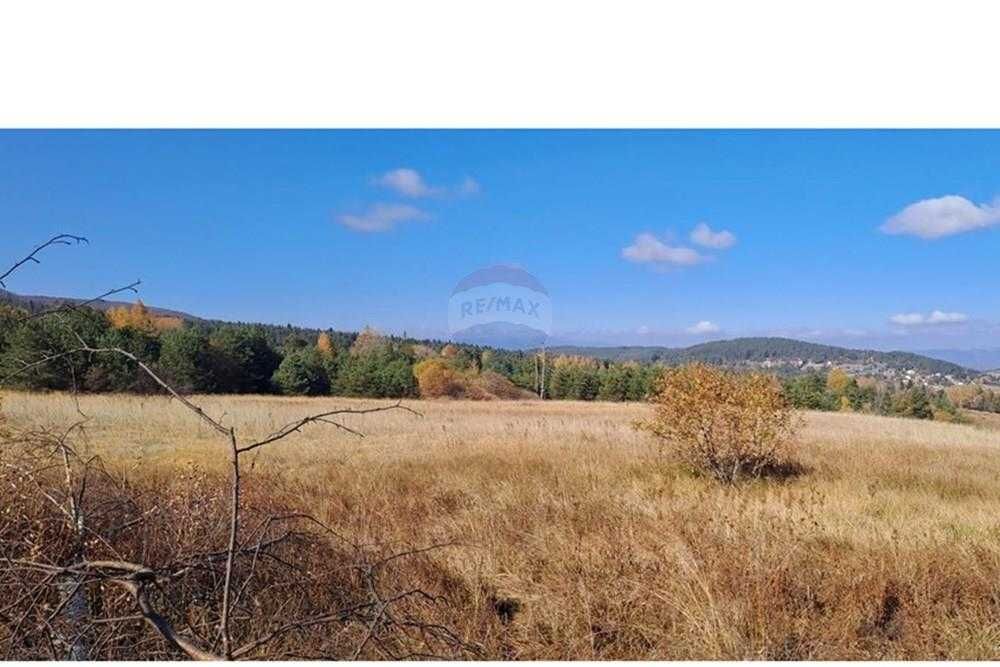 Продава се Парцел в Батак - 9309 кв.м за 2296 €/кв.м - Снимка #12