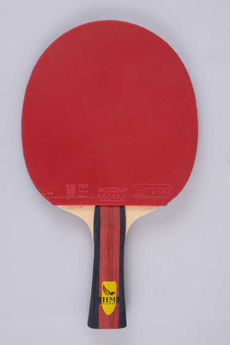 Paleta tenis de masa HM X-Ardor cu fețe Xiom Omega V Asia