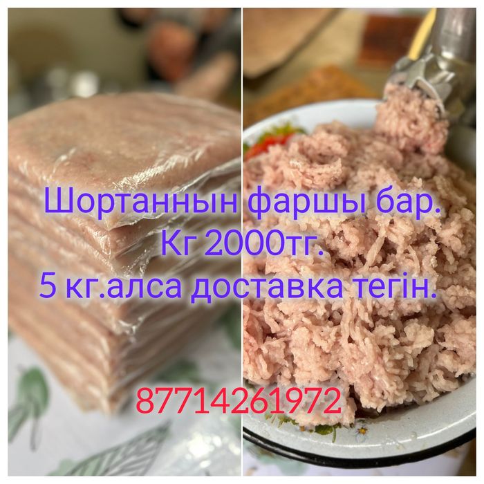 Икра щуки /шортан икрасы
