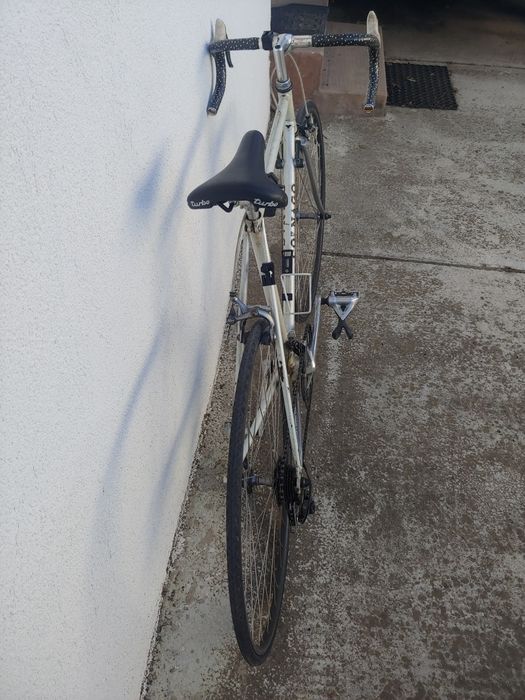 Cursiera colnago