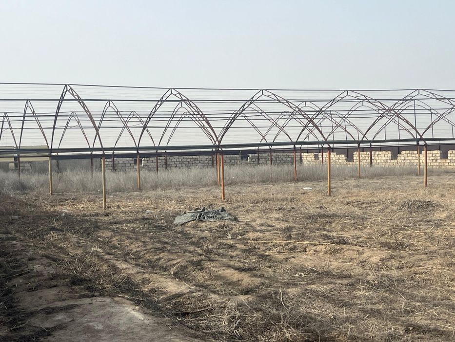 Аренда теплицы в балауса