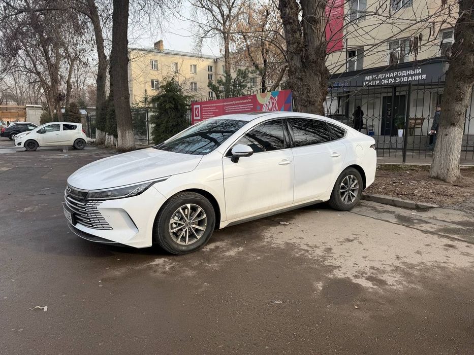 Byd chazor в аренду с выкупом