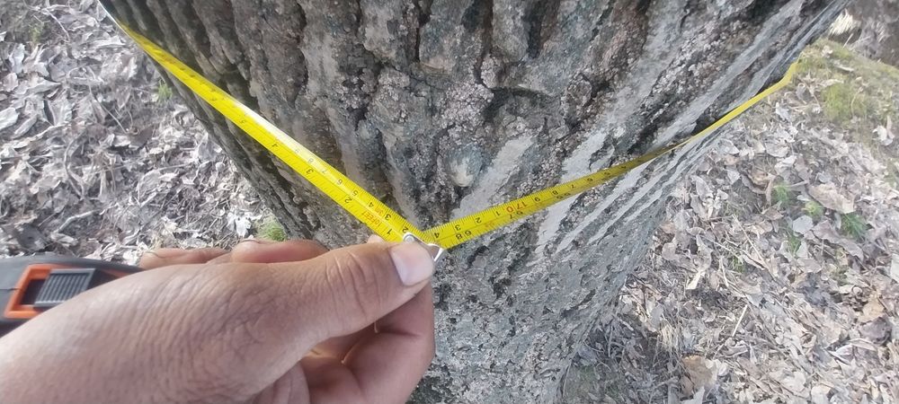 30 yillik kafolati bor