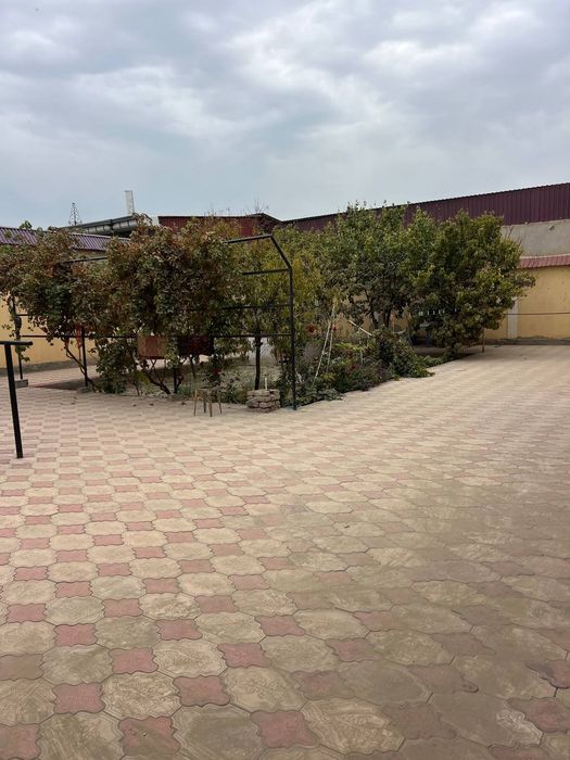 6mikrda katej sotiladi