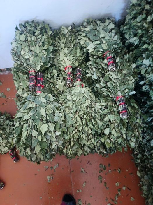 Продам банные  берёзовые веники