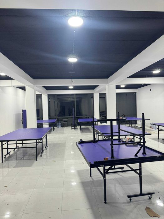 Настольный теннис (Китай фабричный)