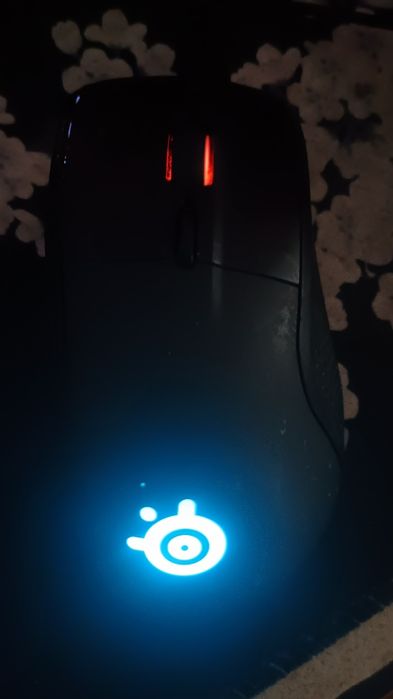 Mouse steelseries710