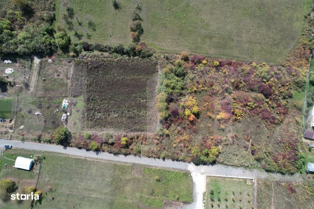 Oportunitate! Teren 3448 mp Borhanci – Zona in Plina Dezvoltare