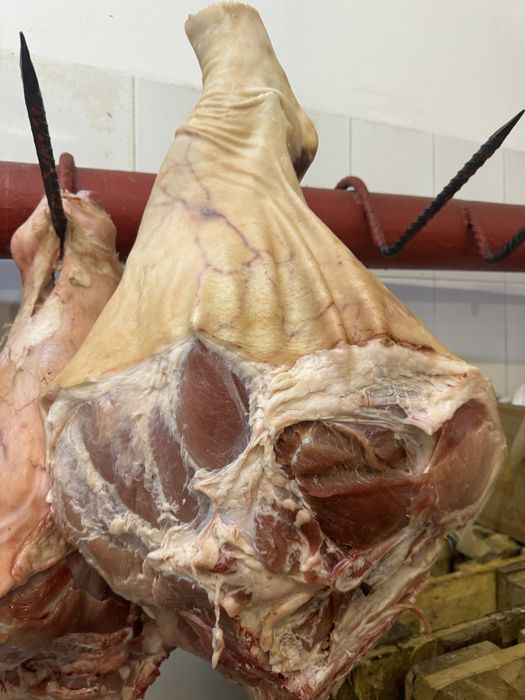 Мясо свинина тушами