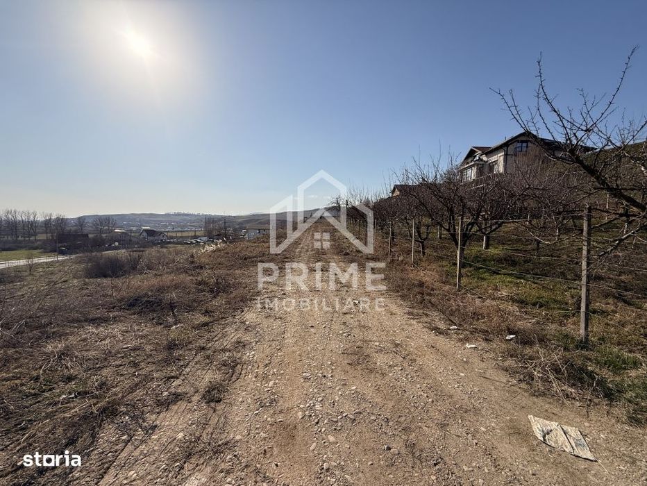 Teren Intravilan Panoramic De Vanzare 5600 Mp, Cetate, Alba Iulia