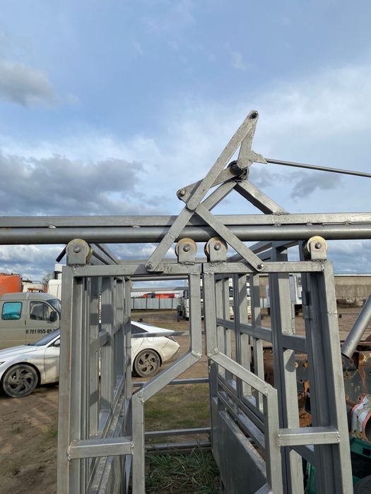 Раскол для КРС (фиксационный станок)