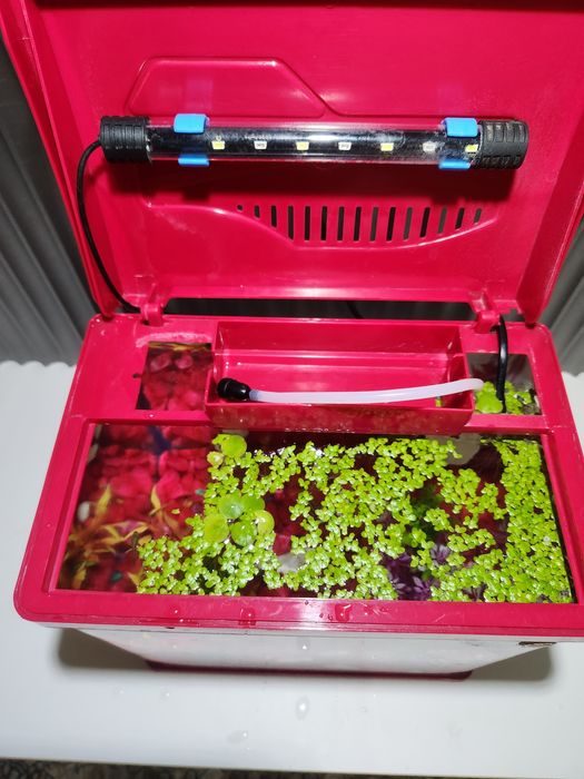 Xitoy akvarium 12l