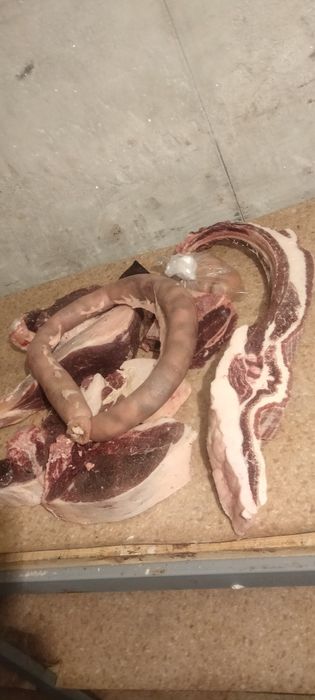 Продажа мяса конины. Тай. Байтал