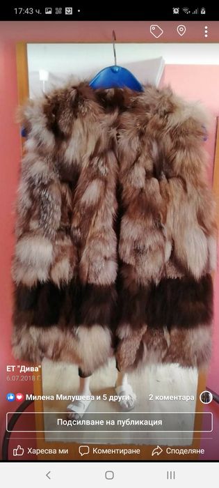 Елек косъм сребърна лисица