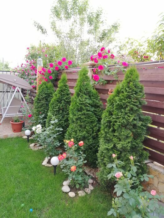 Se oferă spre vânzare duplex p+1  complet mobilat și utilat.Direct propietar.Comuna Berceni zona Trandafirilor.5minute față de Lidl.