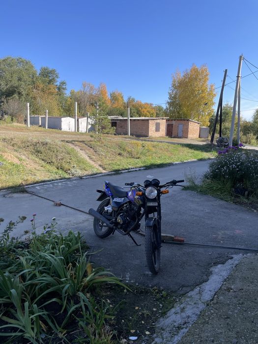 рейсер тигр 150 кубов на полном ходу